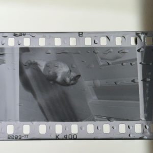 34